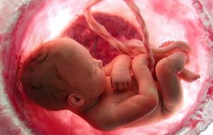 طرح نفس برای جلوگیری از سقط در قم اجرایی شد