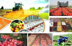 رشد تولید محصولات زراعی در قم/ امنیت غذایی مردم تامین می‌شود