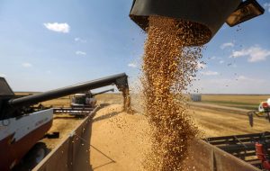 ۹۹ درصد مطالبات کشاورزان گندم‌کار قم پرداخت شد