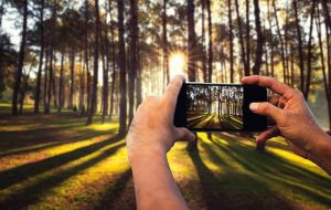 برگزاری ورکشاپ عکاسی با موبایل با محوریت طبیعت در خانه جوانان قم